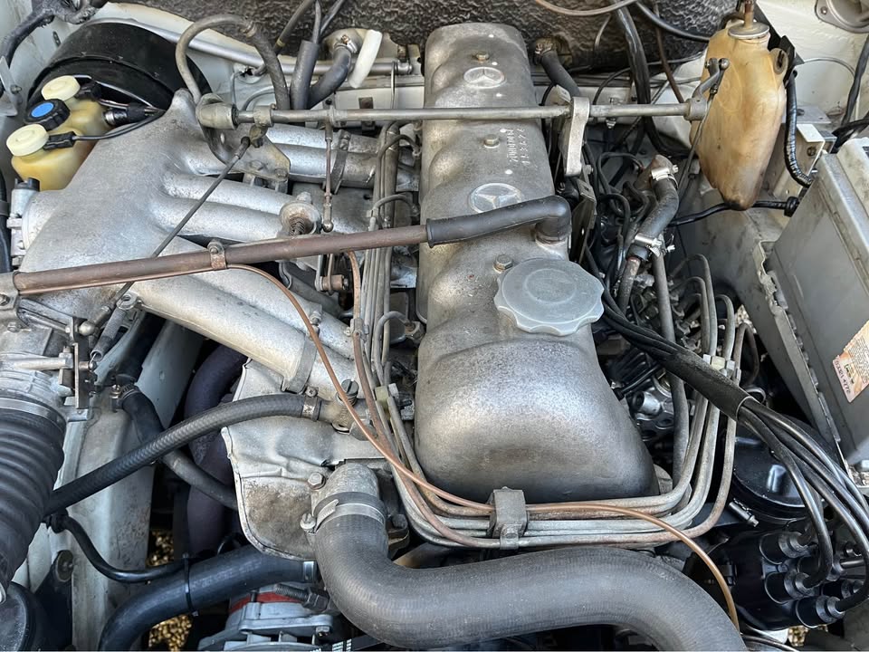 Boonie white 1967 W108 250SE 1