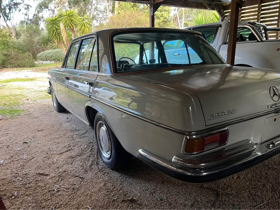 Boonie white 1967 W108 250SE 2