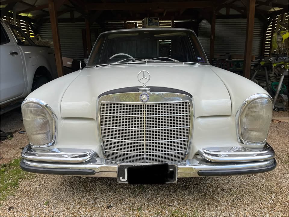 Boonie white 1967 W108 250SE 4